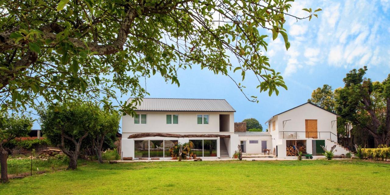 Pensjonat Casa De Arcos Anadia Zewnętrze zdjęcie